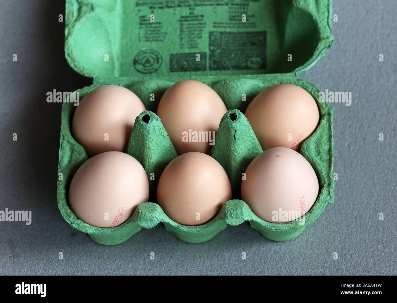 Hier im Bild 6 frische Bio Eier aus kontorllierter Ökologischer Erzeugung, Güteklasse mit einem Eierkarton, Verpackung Hühnerei, Eierknappheit, Preisanstieg, leere Regale, wenige Eier, große Nachfrage *** hier im Bild 6 frische Bio-Eier aus kontrolliert biologischem Anbau, Güteklasse mit Eierkarton, Hühnerei, Eierknappheit, Preiserhöhung, leere Regale, wenige Eier, hohe Nachfrage Stockfoto