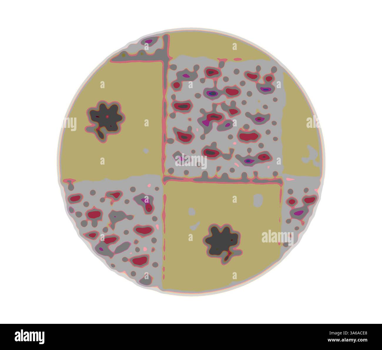 Ein kreisförmiges Diagramm mit vier verschiedenen Abschnitten, jeder mit unterschiedlichen Mustern und Formen, zeigt eine abstrakte Anordnung von Farben und Texturen, die an mikroskopische oder zelluläre Strukturen erinnern. Klassische Kunst mit modernem Touch, neu interpretiert von Artotop, transformierte französische Stoffe, erste Hälfte des 19. Jahrhunderts Stockfoto