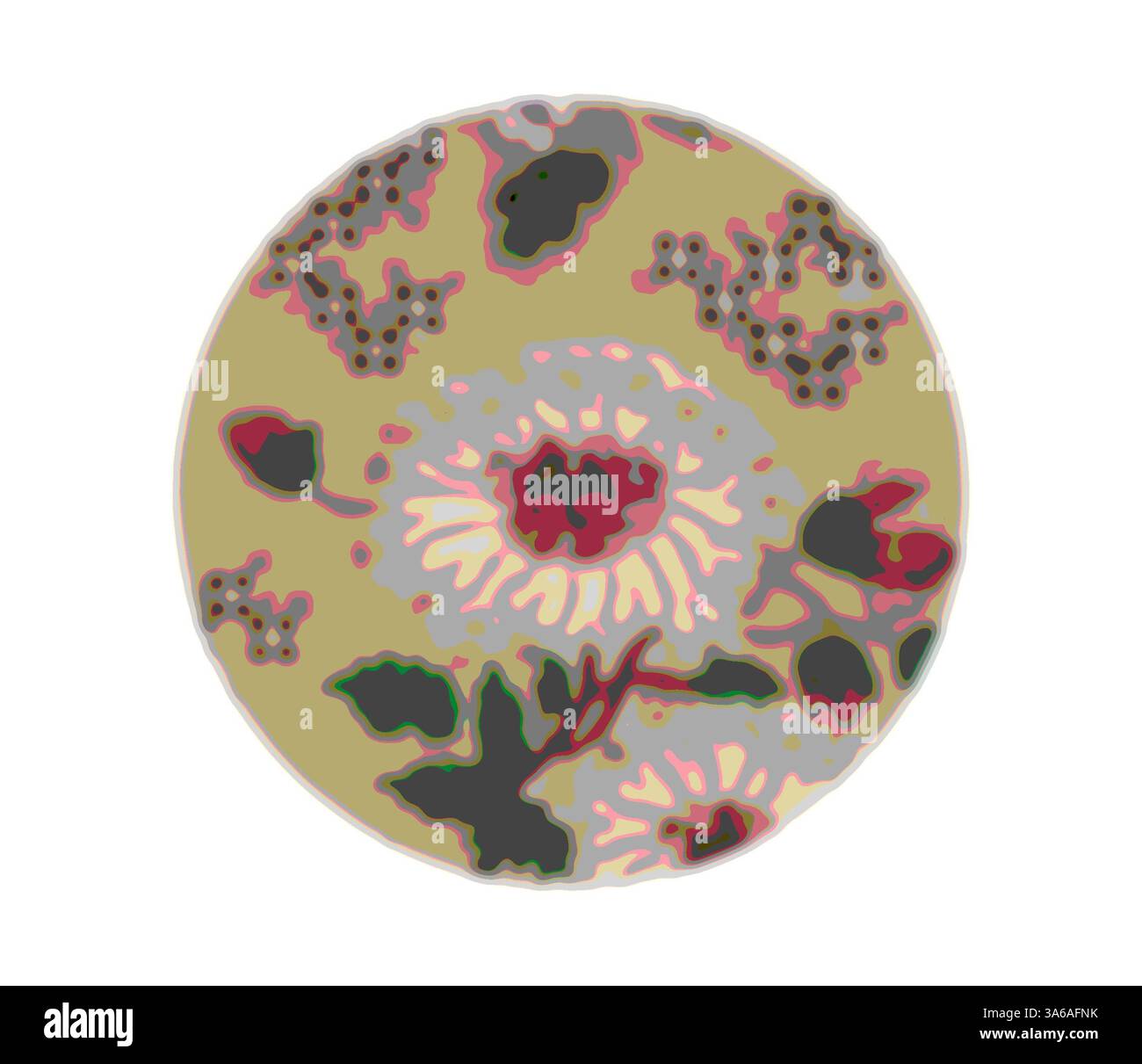 Ein kreisförmiges Dekorationsteil mit kompliziertem Blumenmuster, mit einer Kombination aus gedämpften Farben und lebhaften Akzenten, die das Muster zum Leben erwecken. Klassische Kunst mit modernem Touch, neu interpretiert von Artotop, transformierte französische Stoffe, erste Hälfte des 19. Jahrhunderts Stockfoto