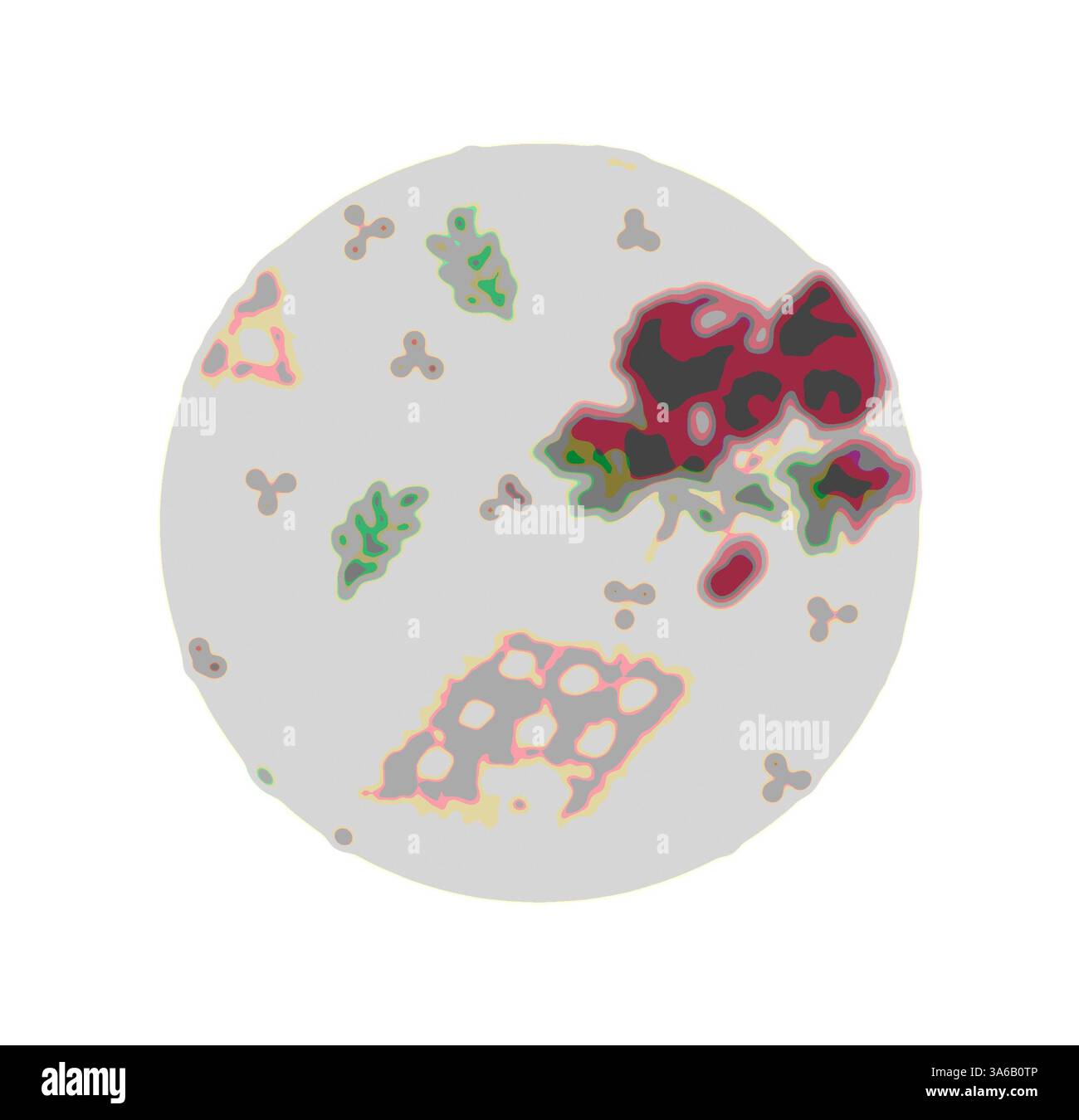 Ein runder Teller mit einer Vielzahl von bunten Zutaten, einschließlich Tomatenstückchen, Blattgemüse und kleinen Stücken eines strukturierten Brotes. Klassische Kunst mit modernem Touch, neu interpretiert von Artotop, transformierte französische Stoffe, erste Hälfte des 19. Jahrhunderts Stockfoto