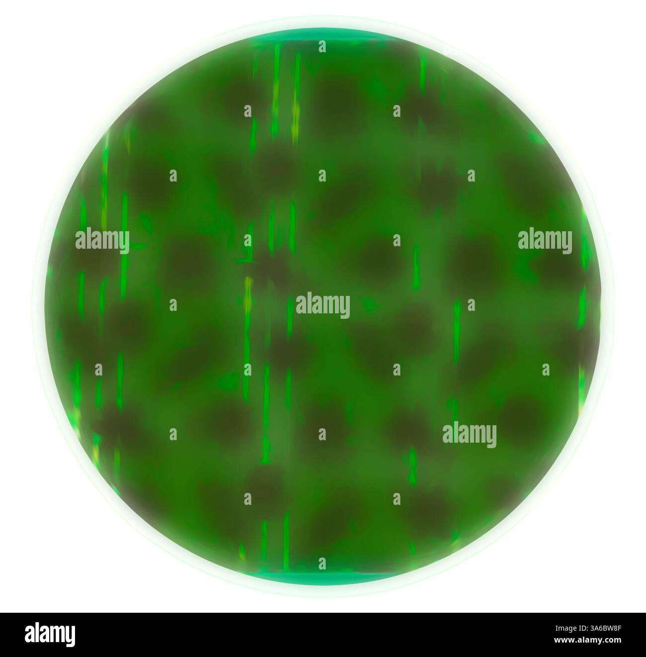 Das kreisförmige Design zeigt eine leuchtend grüne Oberfläche mit subtilen Farbvariationen, die ein Gefühl von Tiefe und organischer Textur hervorrufen. Der Hintergrund weist dunklere Schattierungen auf, die dem Gesamtbild eine Dimension verleihen. Klassische Kunst mit modernem Touch, neu interpretiert von Artotop, transformierte französische Stoffe, erste Hälfte des 19. Jahrhunderts Stockfoto