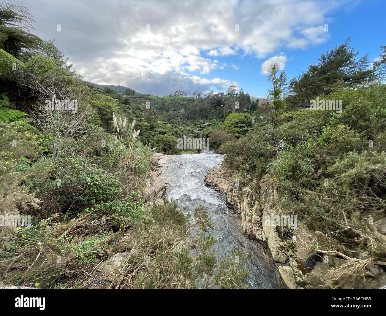 Der Fluss strömt über die Klippen im neuseeländischen Busch Stockfoto