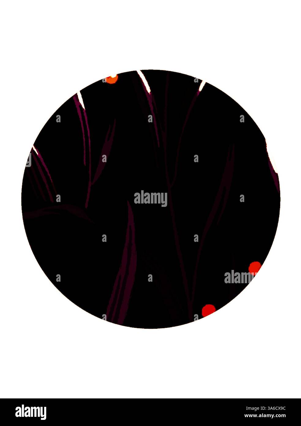 Eine kreisförmige Komposition mit elegantem, dunklem Laub, durchsetzt mit leuchtenden roten Punkten, die eine auffällige und moderne Ästhetik schaffen. Klassische Kunst mit modernem Touch, neu interpretiert von Artotop, transformierte französische Stoffe, erste Hälfte des 19. Jahrhunderts Stockfoto