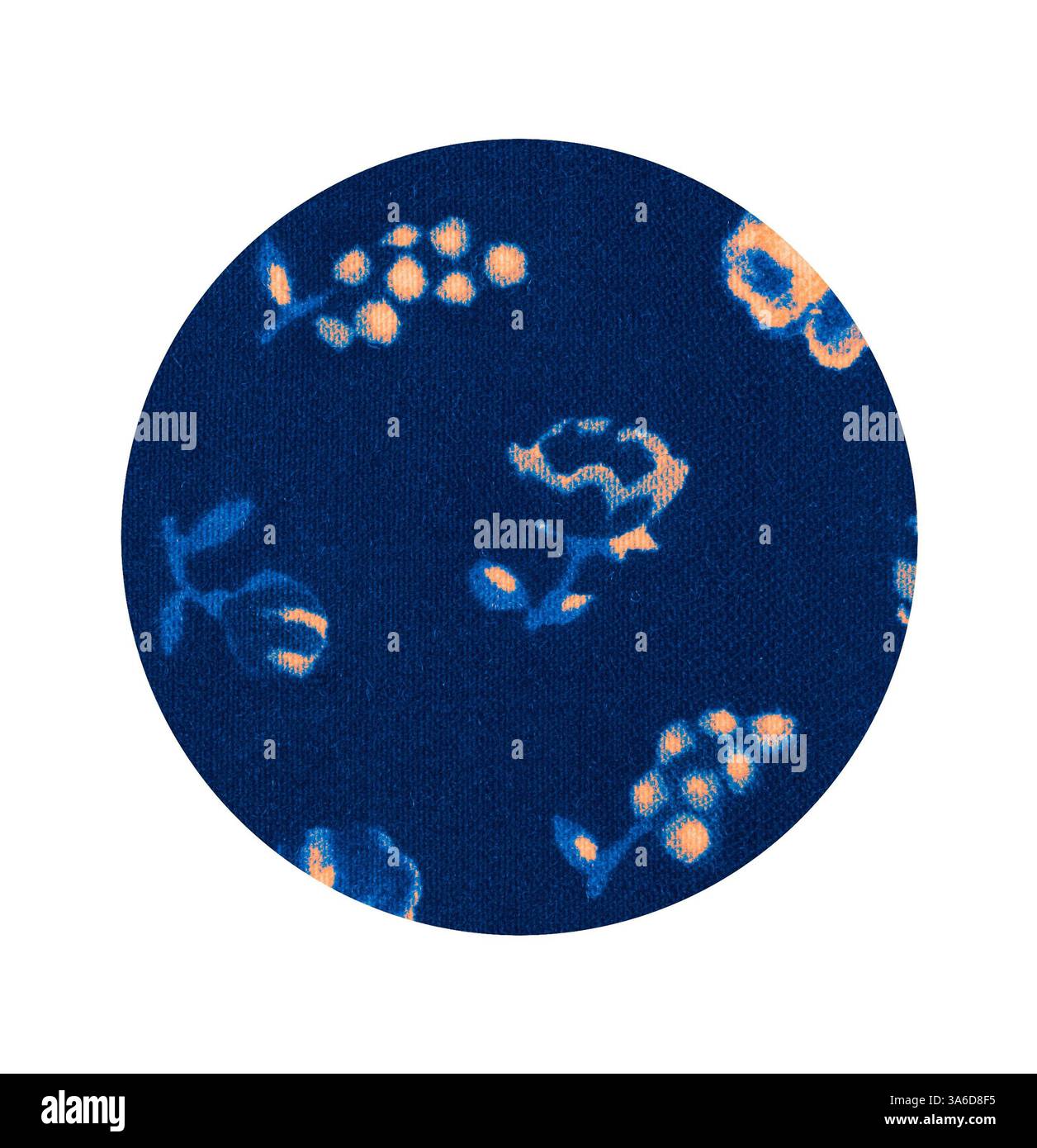 Ein lebhaftes Textil mit einem satten marineblauen Hintergrund und verspielten Blumen- und Botanikmustern in sanften Orange- und Hellblautönen. Klassische Kunst mit modernem Touch, neu interpretiert von Artotop, transformierte französische Stoffe, erste Hälfte des 19. Jahrhunderts Stockfoto