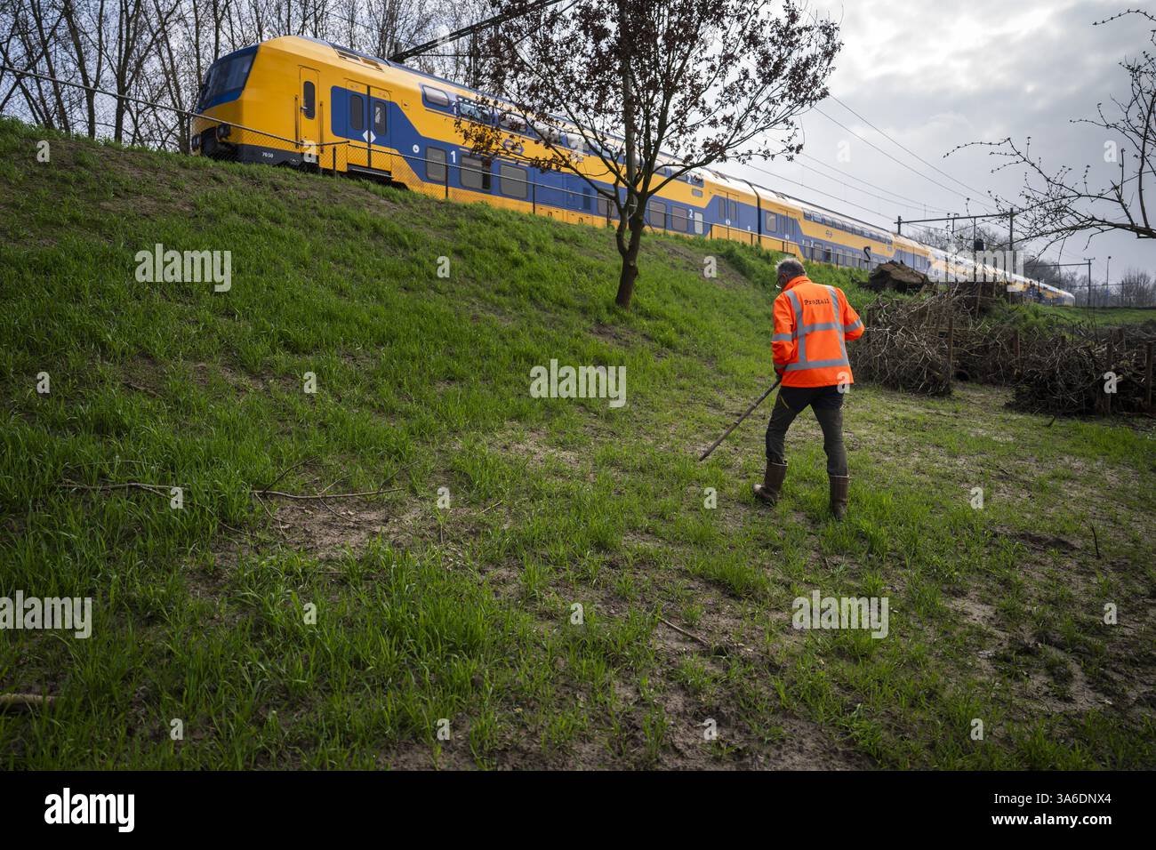 RAVENSTEIN - Ein ProRail-Mitarbeiter sucht nach Schäden, die durch Dachse auf der Strecke in der Nähe des Maasdijk in Ravenstein verursacht wurden. Das von ProRail im Damm installierte Drahtgeflecht verhindert, dass der Dachs an dieser Stelle weiter graben kann. ProRail hat in den letzten zwei Jahren Hunderte Dachsgleise entlang der Bahngleise entdeckt. Dazu gehören Kot und Grabketten. In etwa 10 Prozent der Fälle wird ProRail untersuchen, ob Maßnahmen in der Nähe der Gleise erforderlich sind. ANP JEROEN JUMELET niederlande Out - belgien Out Stockfoto