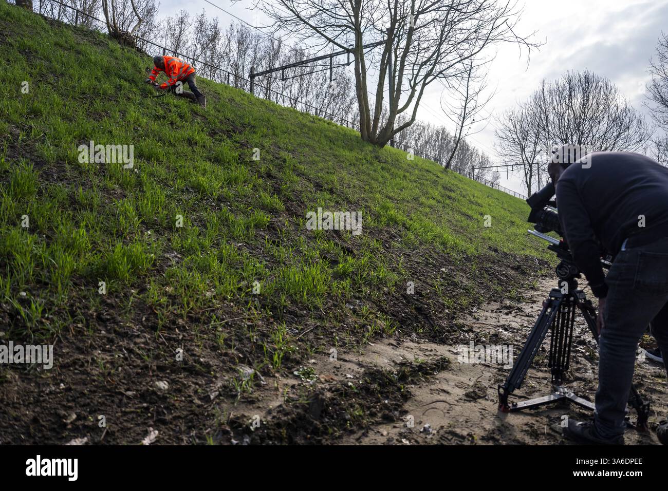 RAVENSTEIN - Ein ProRail-Mitarbeiter sucht nach Schäden, die durch Dachse auf der Strecke in der Nähe des Maasdijk in Ravenstein verursacht wurden. Das von ProRail im Damm installierte Drahtgeflecht verhindert, dass der Dachs an dieser Stelle weiter graben kann. ProRail hat in den letzten zwei Jahren Hunderte Dachsgleise entlang der Bahngleise entdeckt. Dazu gehören Kot und Grabketten. In etwa 10 Prozent der Fälle wird ProRail untersuchen, ob Maßnahmen in der Nähe der Gleise erforderlich sind. ANP JEROEN JUMELET niederlande Out - belgien Out Stockfoto