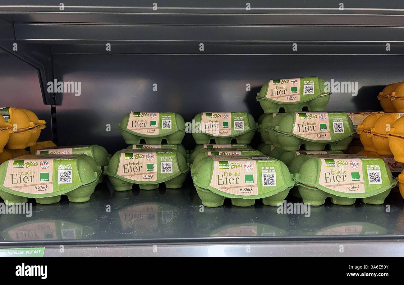 Hier im Bild Eier im Supermarkt in einem Eierkarton, Verpackung in einem Regal liegend, Hühnerei, Eierknappheit, Preisanstieg, leere Regale, wenige Eier, große Nachfrage, braune Eier, Bio Eier, Smartphonebild *** hier im Bild Eier im Supermarkt in einem Eierkarton, auf einem Regal liegende Verpackung, Hühnerei, Eierknappheit, Preiserhöhung, leere Regale, wenige Eier, hohe Nachfrage, braune Eier, Bio-Eier, Smartphone-Bild Stockfoto