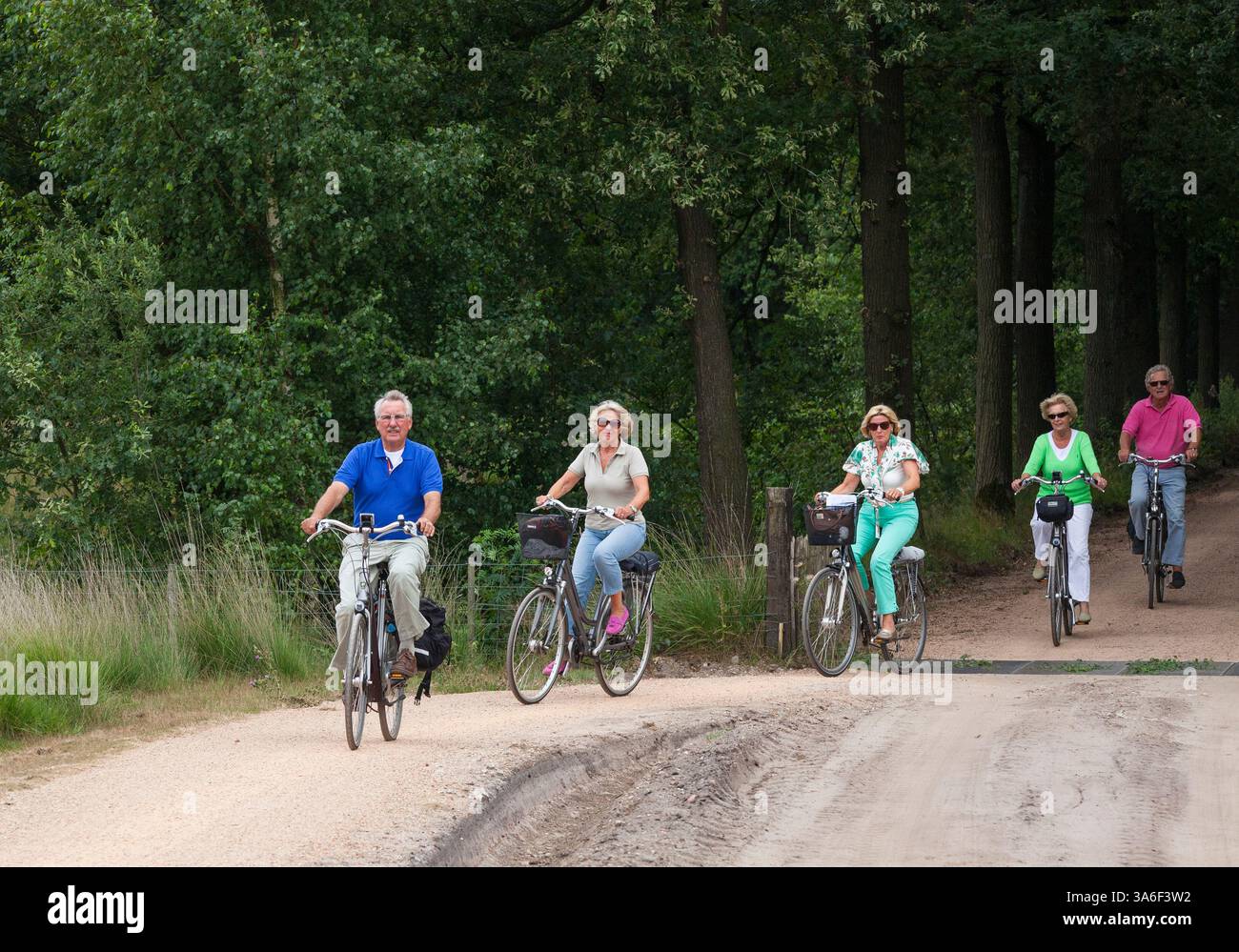 Gruppe aktiver Senioren, die auf Fahrrädern in einem Wald in den Niederlanden fahren Stockfoto