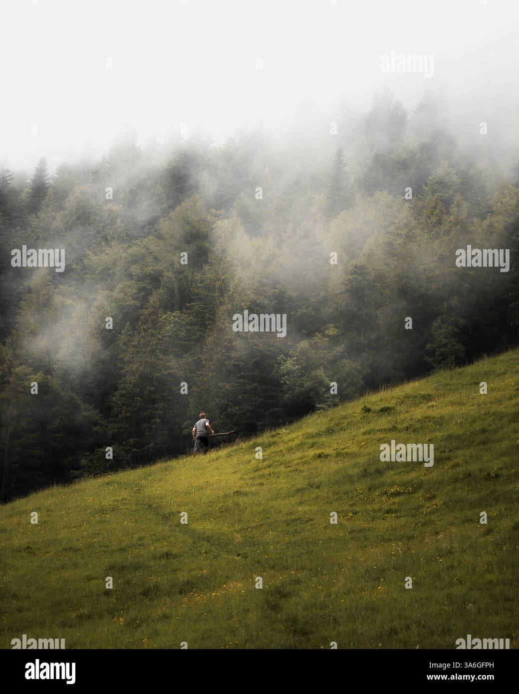 Landwirt mit Scythe, der Gras vor einem Wald auf einem Berg mäht, der von Nebel bedeckt ist. Ländliche rustikale dunkle Atmosphäre. Lungern, Schweiz. Stockfoto