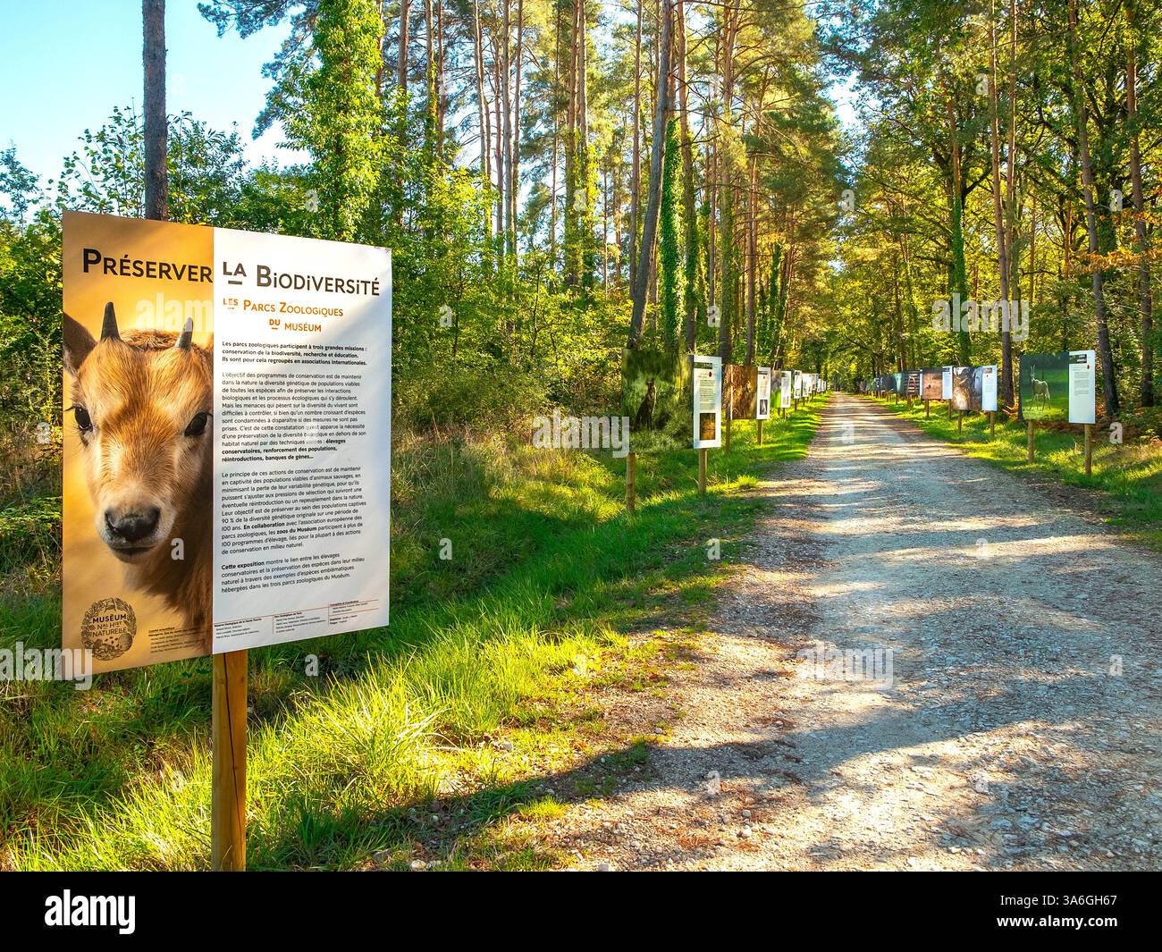 Informationstafeln über Tiere und ihren Lebensraum entlang eines breiten Waldweges im Zoologischen Park Haute Touche - Indre (36), Frankreich. Stockfoto
