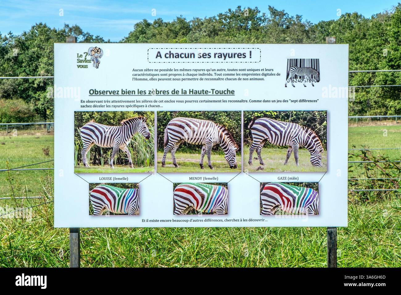 Informationstafeln über Zebras und ihr einzigartiges Streifenmuster im Zoologischen Park Haute Touche - Indre (36), Frankreich. Stockfoto