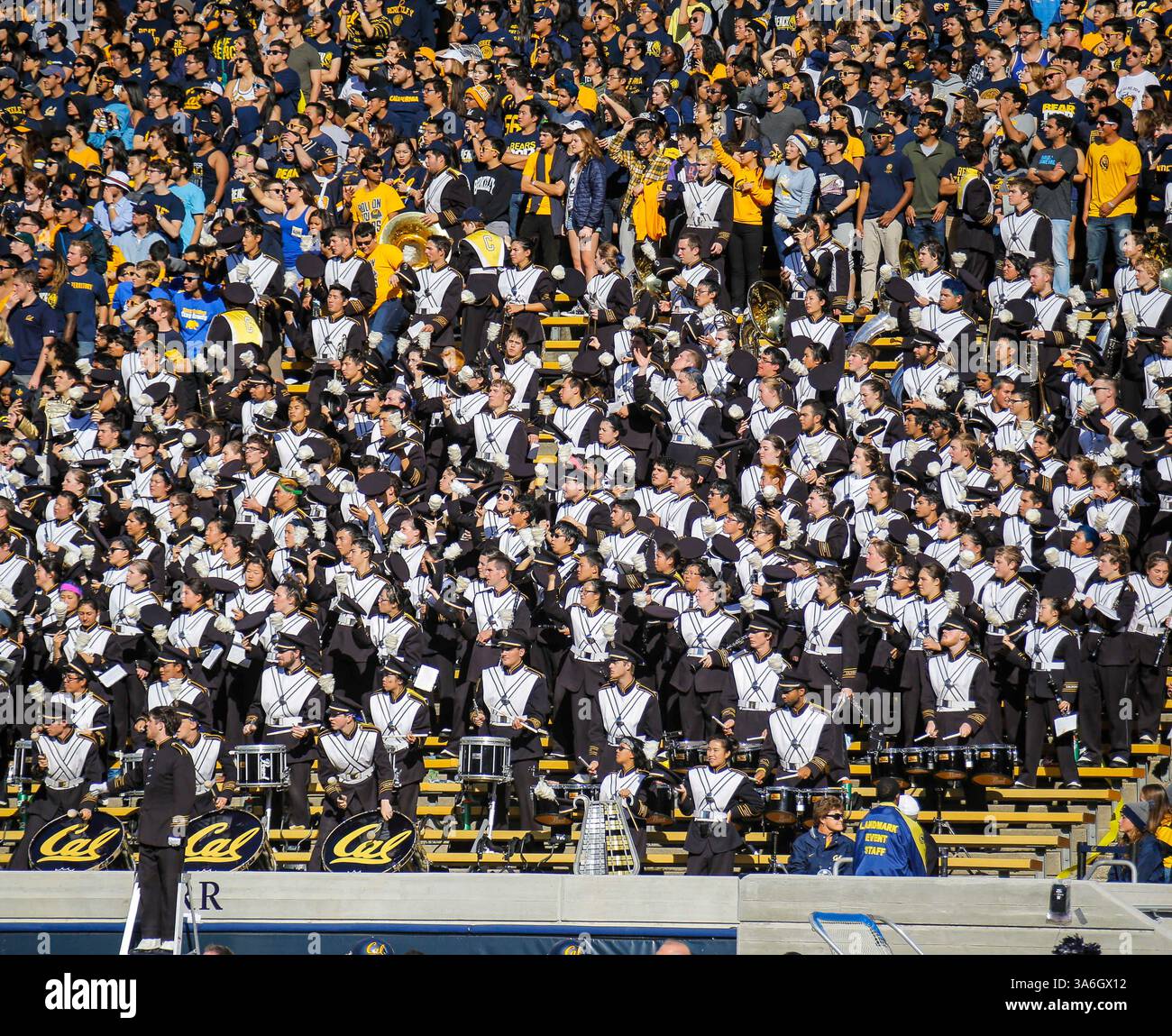 22. November 2014: Berkeley U.S. CA: Kalifornische Band und Studenten beim NCAA Football-Spiel zwischen Stanford Cardinal und California Golden Bears 17-38 verloren im Memorial Stadium Berkeley Calif (Bild: © Thurman James/Cal Sport Media/ZUMAPRESS.com) Stockfoto