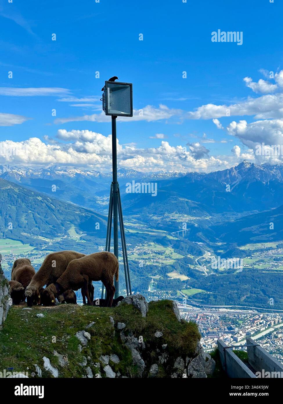 Blick auf die Berge - Smartphone-aufgenommenes Stockfoto