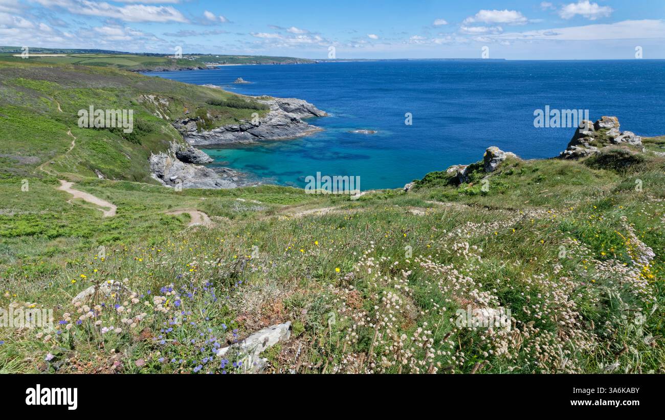 Piskies Cove Übersicht, Teil von Prussia Cove, in der Nähe von Penzance, Cornwall, Großbritannien, Juni. Stockfoto