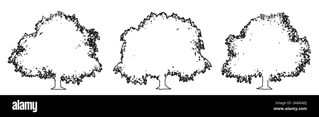 Set oder Sammlung von Rosskastanie Bäumen als schwarze Linie zeichnen Silhouette auf weißem Hintergrund. Konzept oder konzeptueller Vektor für Natur, Planet Stock Vektor