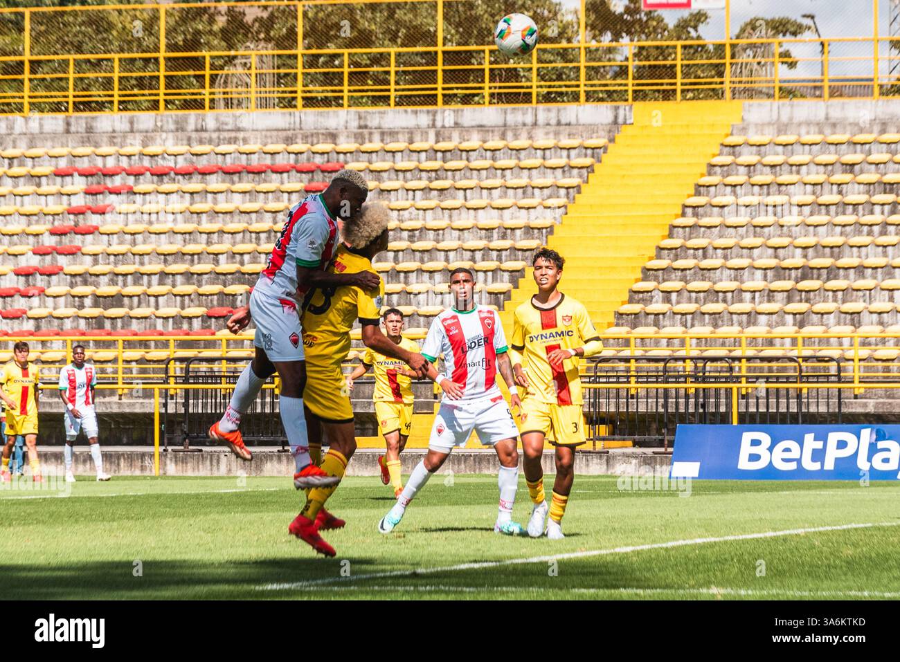 Bogota, Kolumbien. März 2025. BetPlay Dimayor League Spiel zwischen Bogota F.. C und Patriotas in Bogota, Colombias Techo Stadion, 24. März 2025. Foto: Sergio Ramirez Lesmes/Long Visual Press Credit: Long Visual Press/Alamy Live News Stockfoto