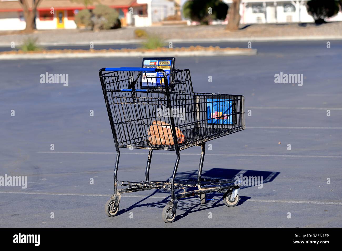 Ein leerer Einkaufswagen liegt mitten auf einem verlassenen Parkplatz, in hellem Sonnenlicht getaucht. Eine minimalistische urbane Szene, die den Alltag widerspiegelt. Stockfoto Ein leerer Einkaufswagen liegt mitten auf einem verlassenen Parkplatz, in hellem Sonnenlicht getaucht. Eine minimalistische urbane Szene, die den Alltag widerspiegelt. Stockfoto