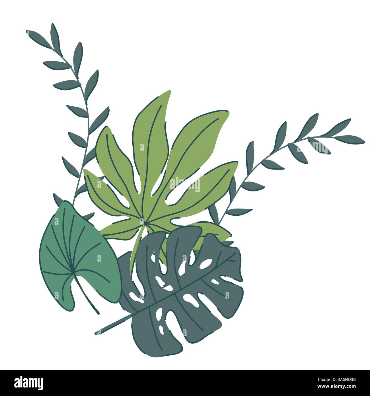 monstera monkey leaf care Monstera Adansonii | Monkey Mask Plant | 8" Pot | Easy Care Houseplant