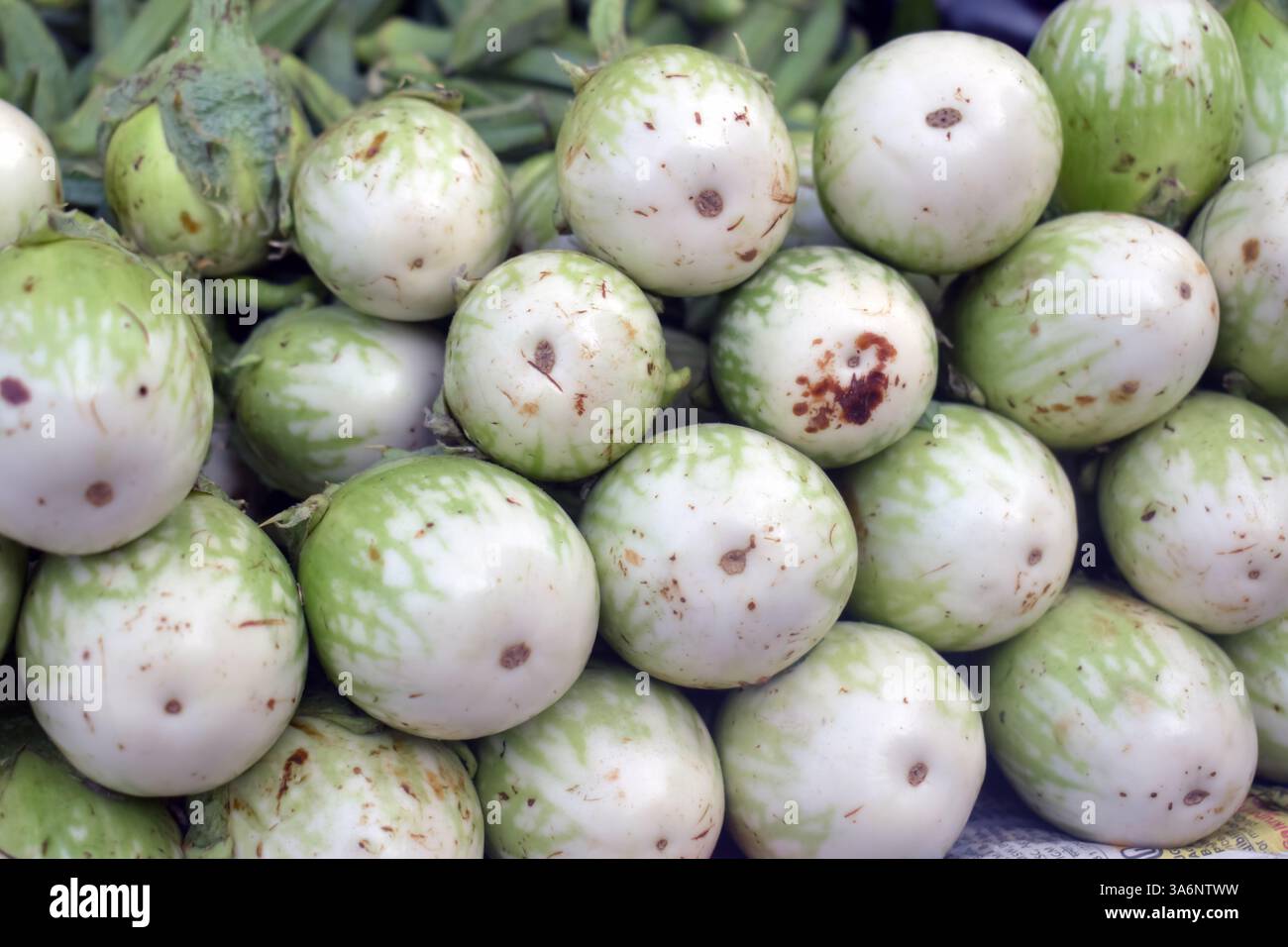 Brinjal, sehr schönes Brinjal im Laden.Draufsicht auf einen Haufen Brinjal auf dem Markt.der Name heißt Eierfrucht, Aubergine, Solanum melongena Stockfoto