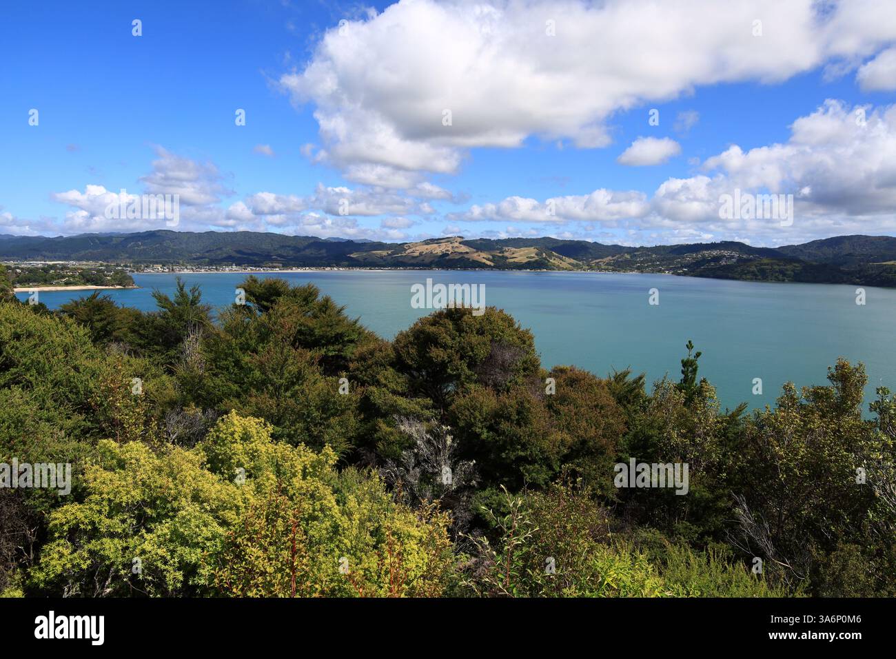 Cooks Beach ist eine Stadt an einem drei Kilometer langen weißen Sandstrand auf der neuseeländischen Coromandel-Halbinsel Stockfoto
