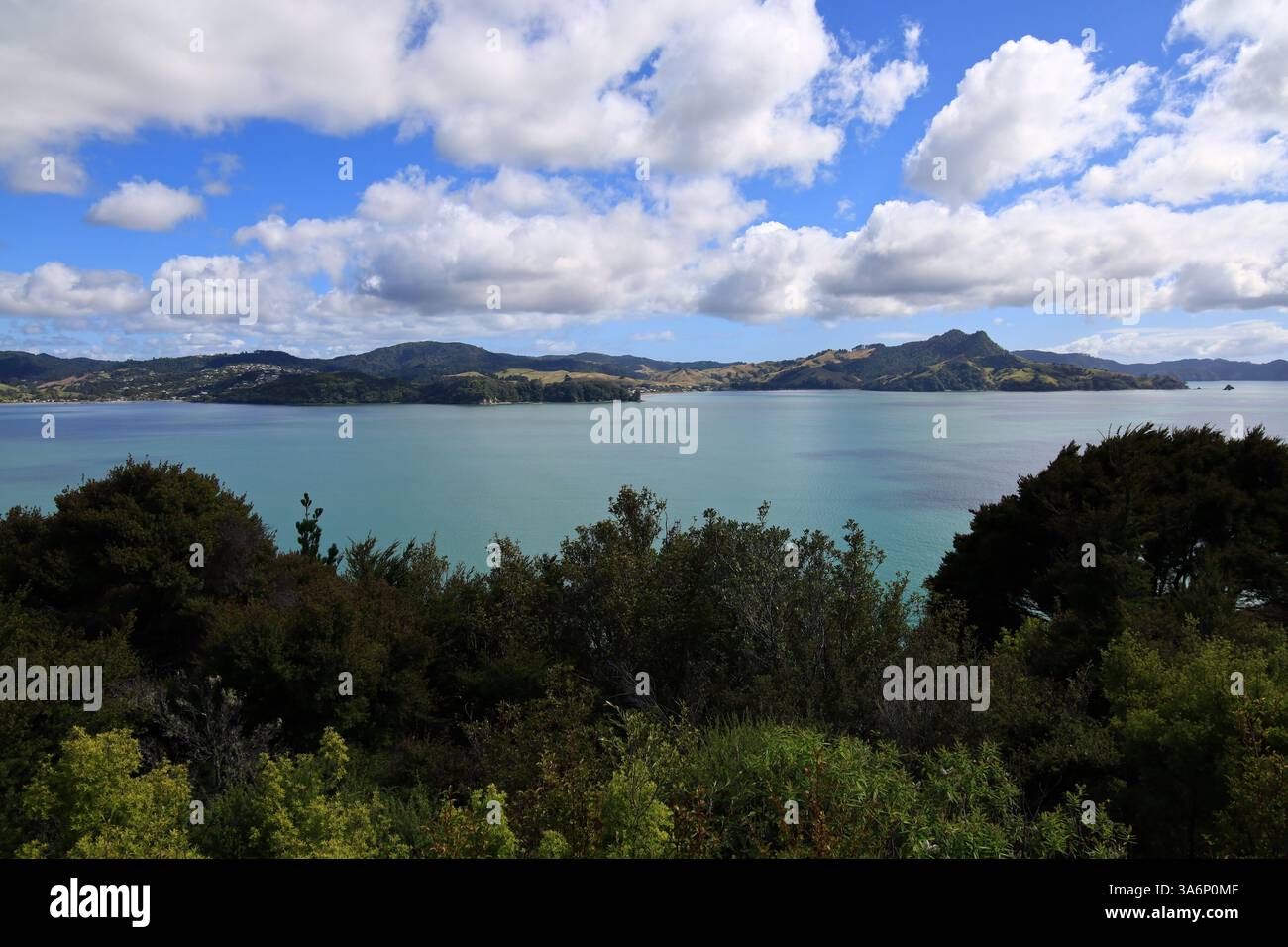 Cooks Beach ist eine Stadt an einem drei Kilometer langen weißen Sandstrand auf der neuseeländischen Coromandel-Halbinsel Stockfoto