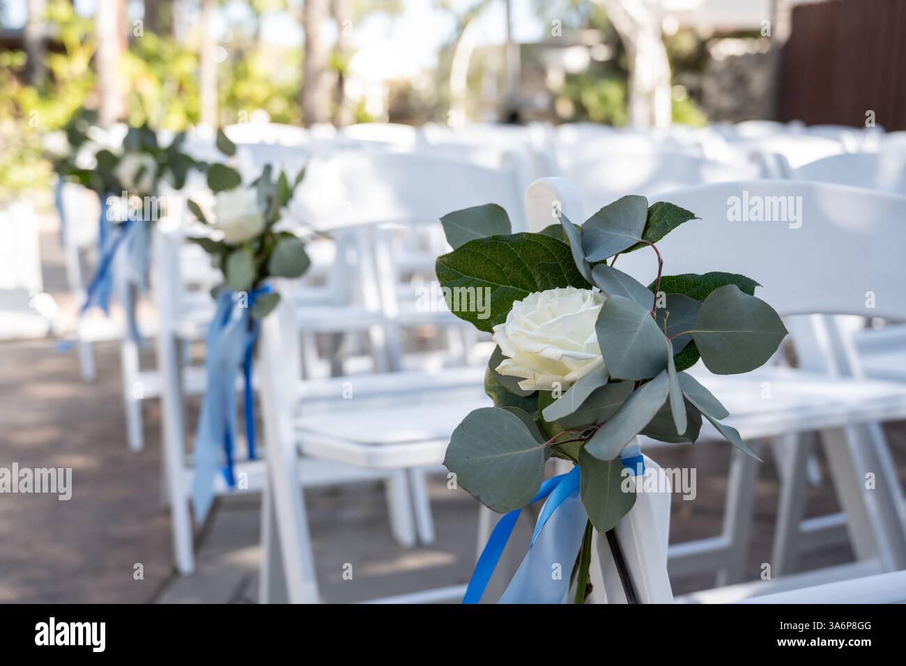 Weiße Rosen schmücken die Sitzplätze der insel für die Hochzeitszeremonie. Stockfoto