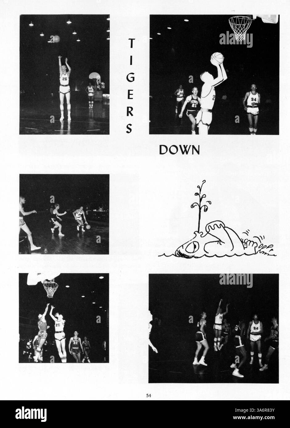 Das Jahrbuch 1964 South High „Tiger“ dokumentiert das Leben der Studenten, die Lehrkräfte, die Vereine, die Leichtathletik und die wichtigsten Veranstaltungen des akademischen Jahres 1963-1964 mit besonderem Augenmerk auf die Geschichte der afroamerikanischen Kultur und die kulturellen Höhepunkte. Stockfoto