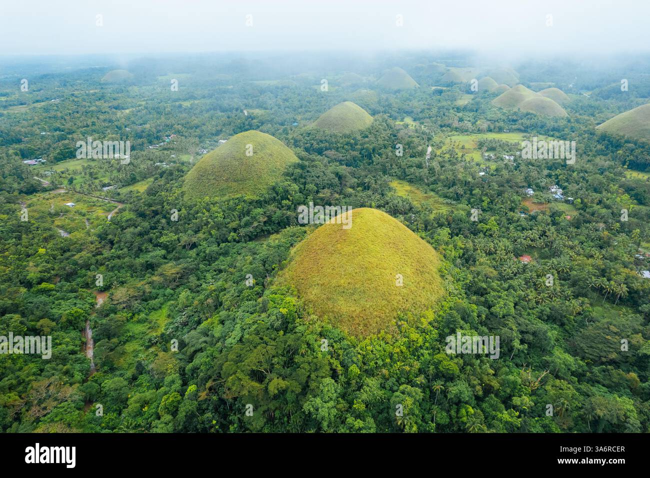 Atemberaubender Blick aus der Vogelperspektive auf die Bohol Chocolate Hills, Philippinen – Ein Naturwunder aus über 1.200 Kalksteinhügeln, perfekt für Reisen, Tourismus und Stockfoto