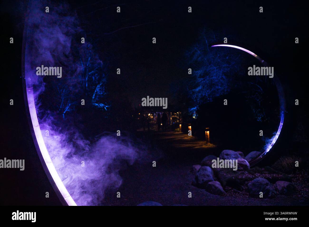 Seattle, USA. Januar 2025. Der atemberaubende Astra Lumina Walk in den Chinesischen Gärten im Westen von Seattle. Stockfoto