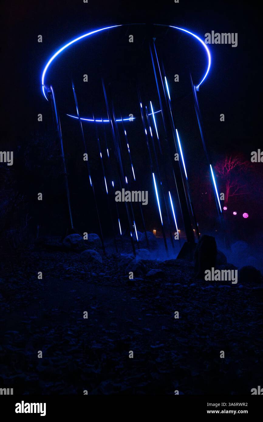 Seattle, USA. Januar 2025. Der atemberaubende Astra Lumina Walk in den Chinesischen Gärten im Westen von Seattle. Stockfoto
