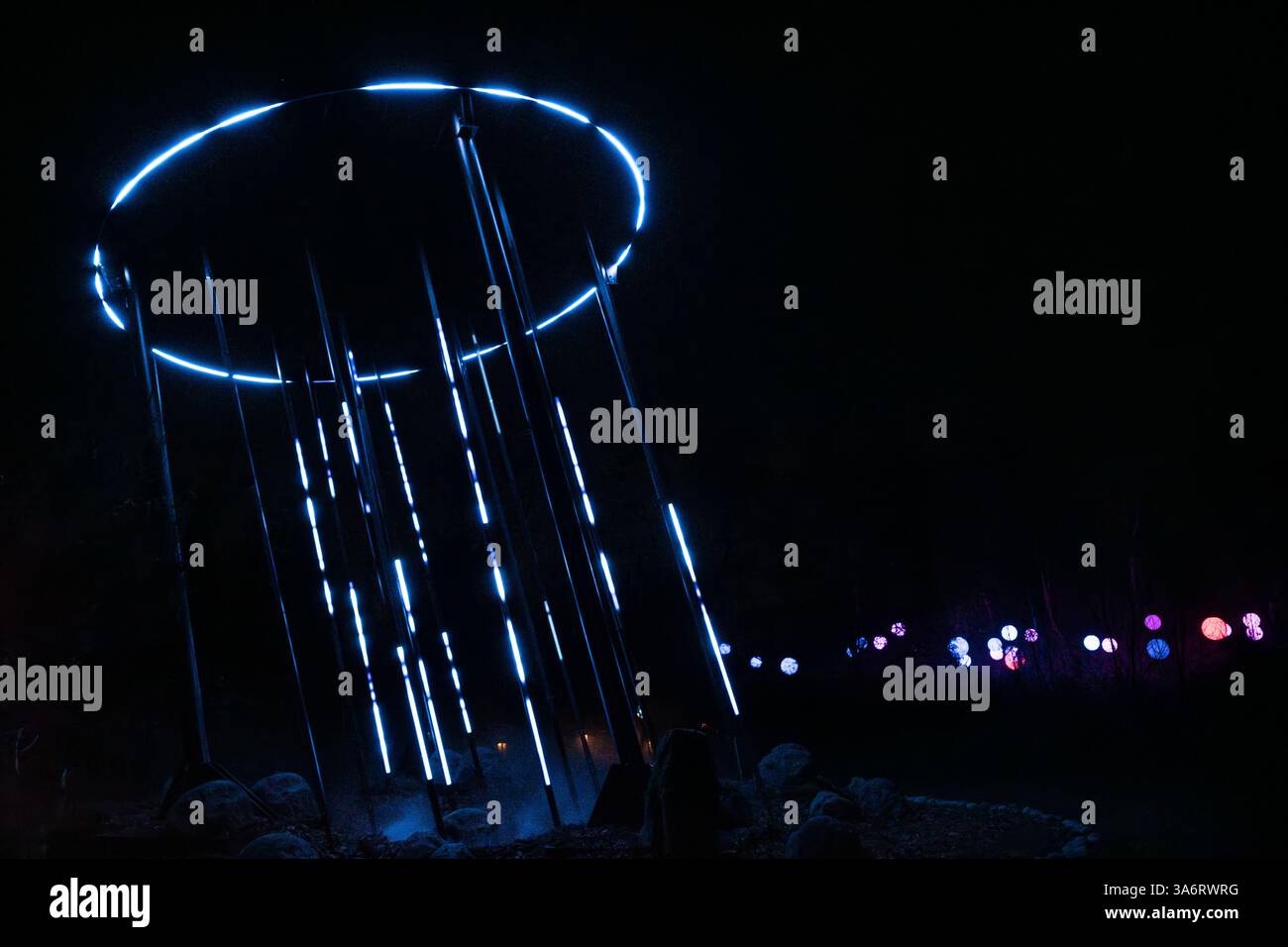 Seattle, USA. Januar 2025. Der atemberaubende Astra Lumina Walk in den Chinesischen Gärten im Westen von Seattle. Stockfoto