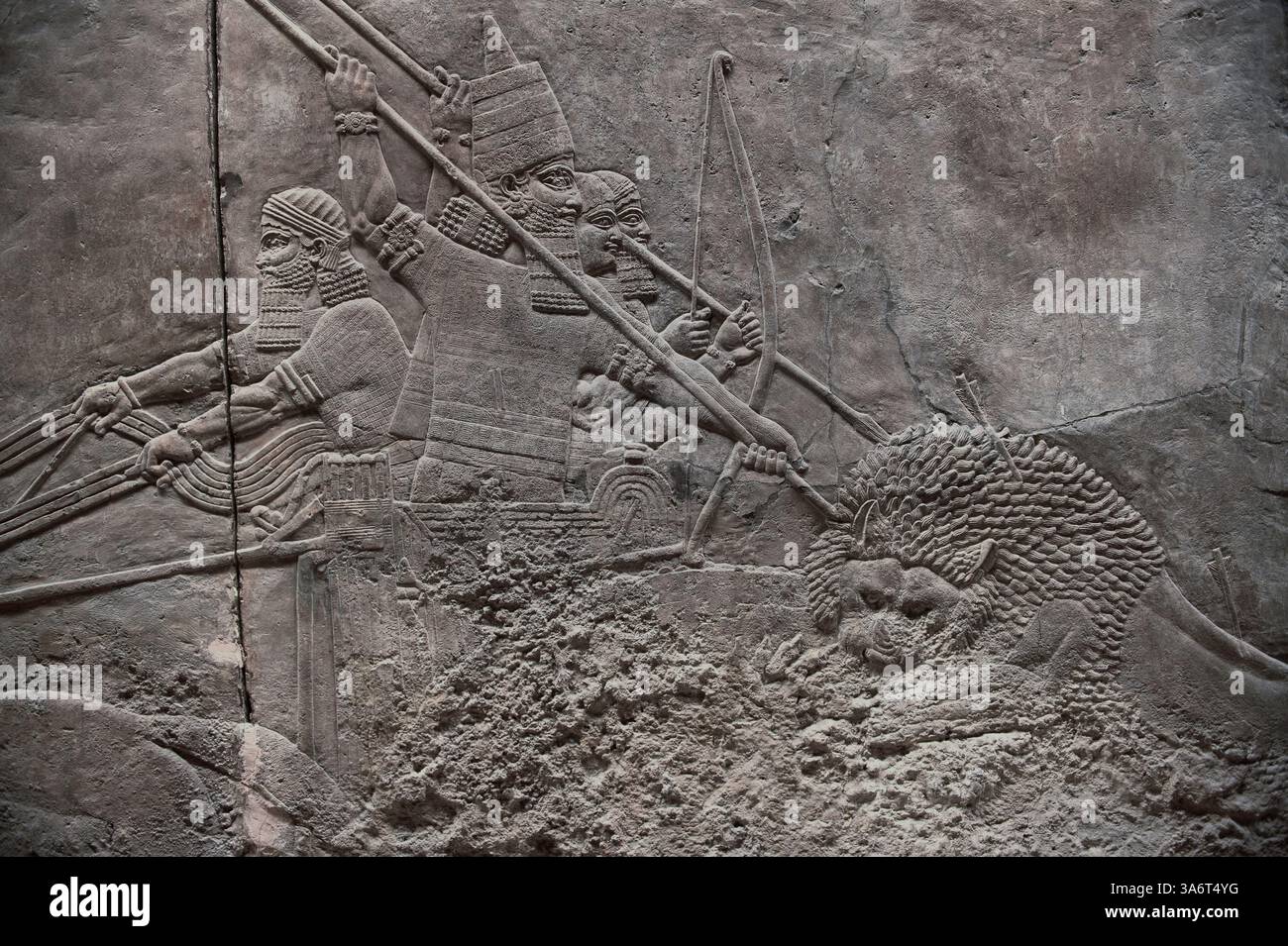 Assyrische Reliefskulpturenplatte von König Aschurnasirpal, der einen Löwen mit einem Speer aus seinem Wagen tötet. Vom Ninive North Palace, Irak, 668-627 v. Chr Stockfoto