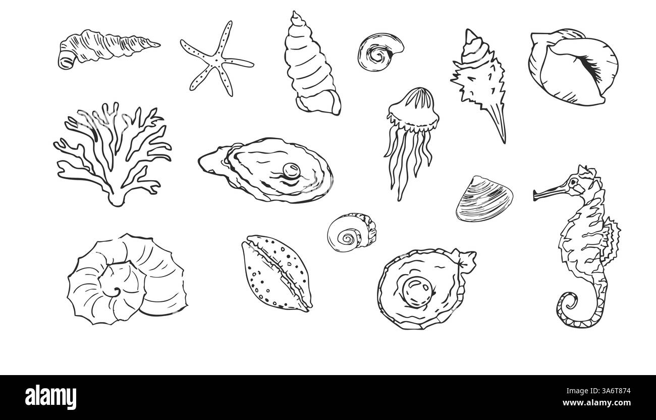 Muschelskizze Ozean Leben Hand gezeichnete Illustration. Skizzieren Sie Elemente des modernen Stils, des Sommers, des Urlaubs, des Stranddesigns. Korallen und Algen, Seesterne. . Vektorabbildung Stock Vektor