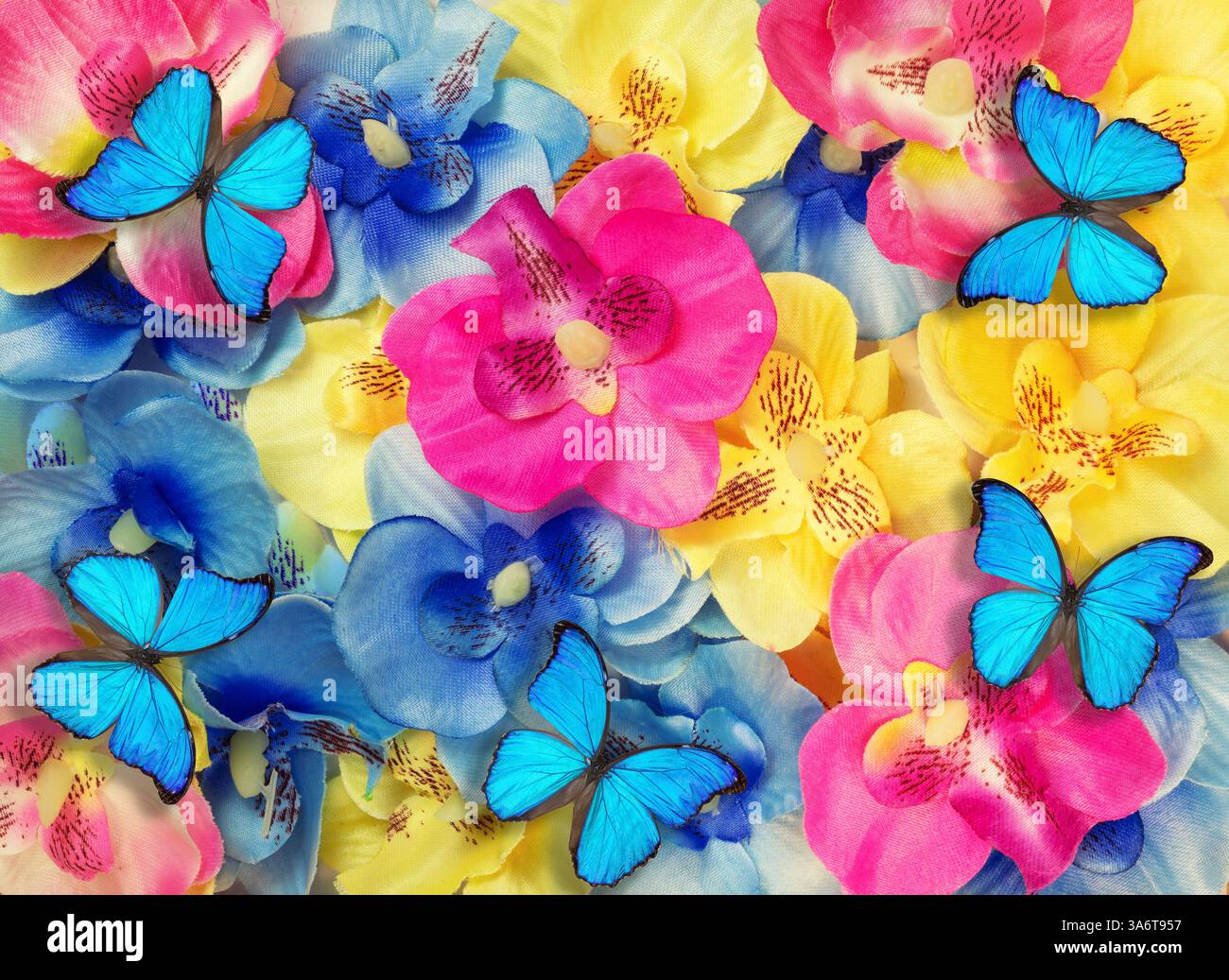 Floraler Hintergrund von bunten künstlichen Blumen und Morpho godartii Schmetterlingen Stockfoto