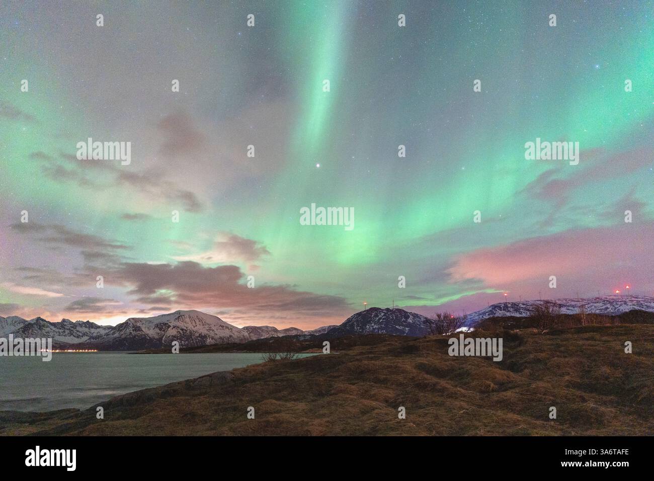 Wunderschöne Aurora Borealis über dem Haus auf der Insel Kvaløya, tanzende Nordlichter mit grünem Licht, roten und lila Strikes, klare farbige Strahlen Stockfoto