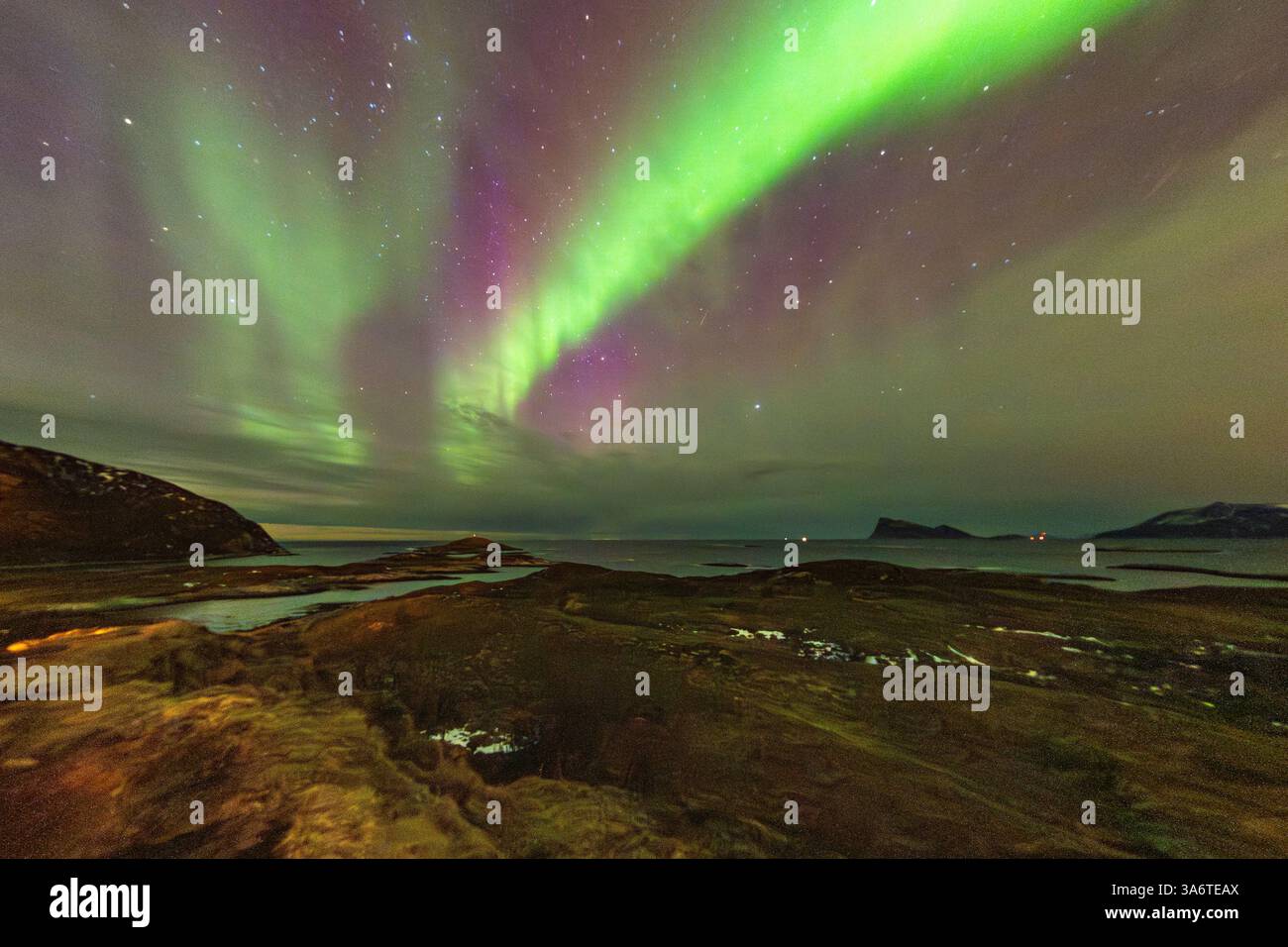 Wunderschöne Aurora Borealis über dem Haus auf der Insel Kvaløya, tanzende Nordlichter mit grünem Licht, roten und lila Strikes, klare farbige Strahlen Stockfoto