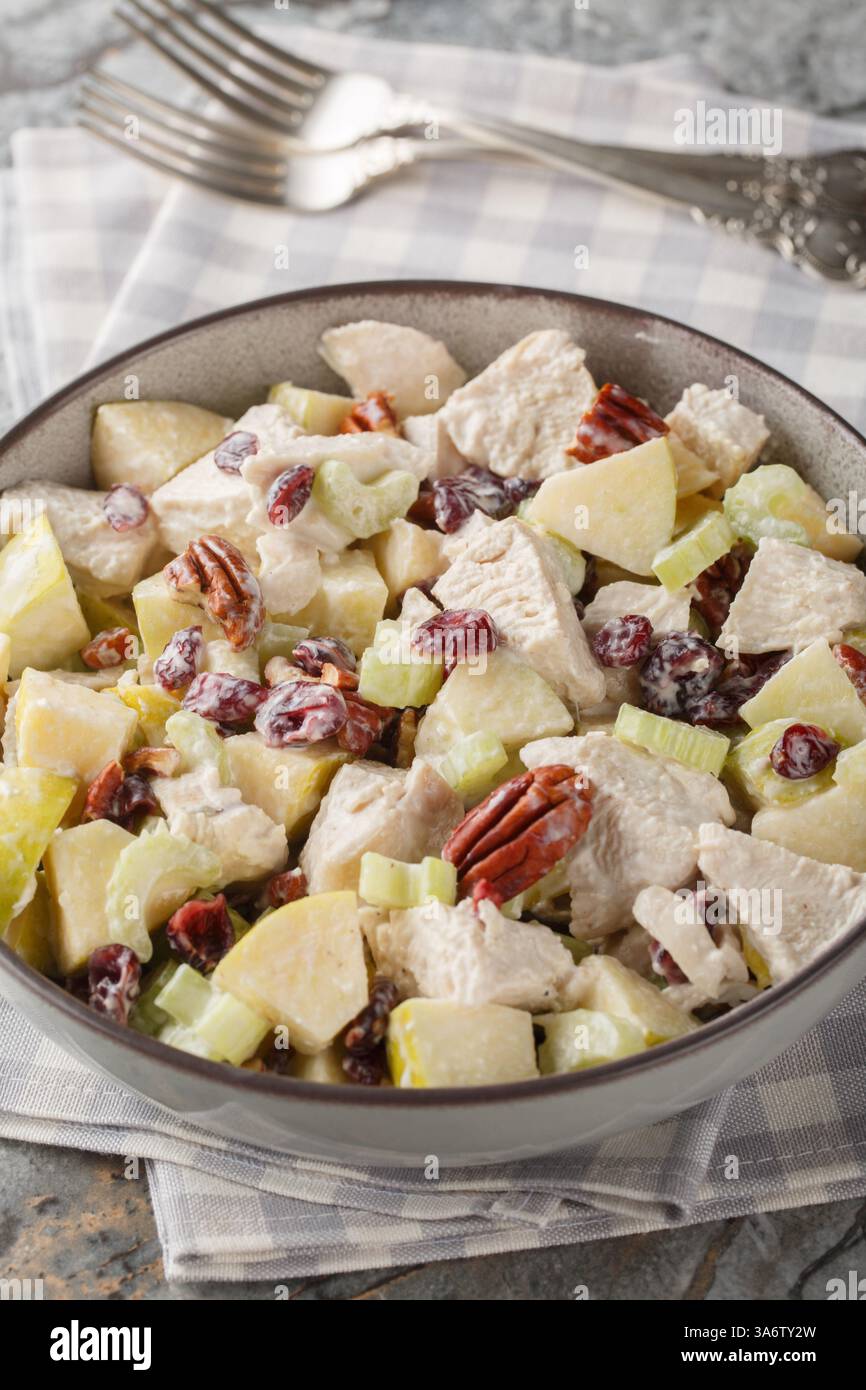 Herbst Hähnchensalat mit knusprigen Äpfeln und Sellerie, pikanten Pekannüssen, süßen Preiselbeeren und einem cremigen Dressing aus nächster Nähe in einer Schüssel auf dem Tisch. Ve Stockfoto