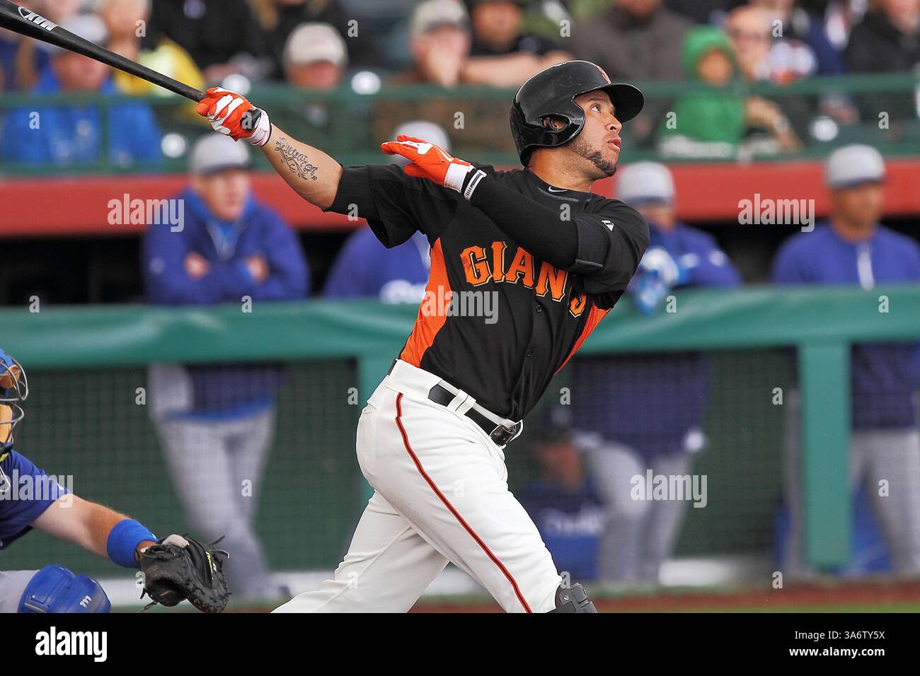8. März 2013: Scottsdale, Arizona, USA: Die San Franisco Giants GREGOR BLANCO, Platz 7 bei einem MLB Spring Training Spiel zwischen den Los Angeles Dodgers und den San Francisco Giants im Scottsdale Stadium in Scottsdale, Arizona. (Bild: © Doug James/ZUMAPRESS.com) Stockfoto