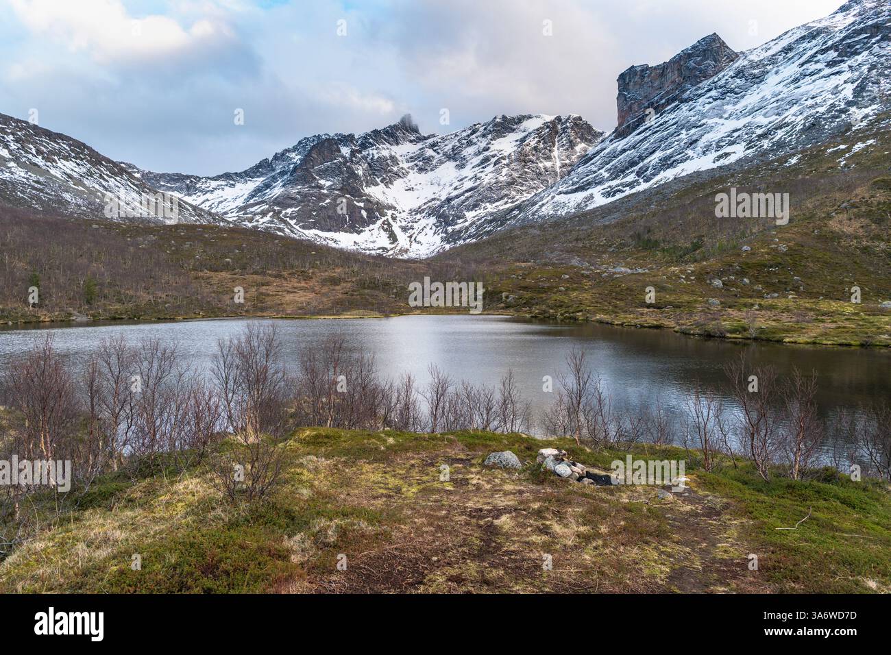 Panorama mit See und Strand des Nordatlantiks. Raue Natur auf den Inseln von Kvaløya, mit steilen felsigen Bergen. Kleine Birken und gelb Stockfoto