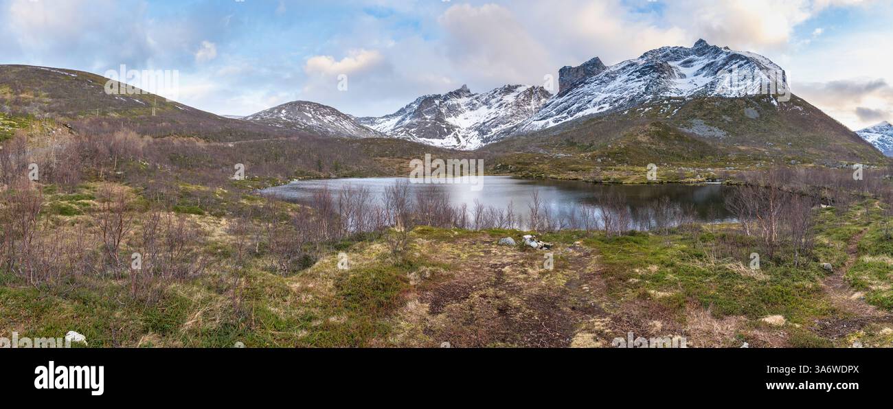 Panorama mit See und Strand des Nordatlantiks. Raue Natur auf den Inseln von Kvaløya, mit steilen felsigen Bergen. Kleine Birken und gelb Stockfoto