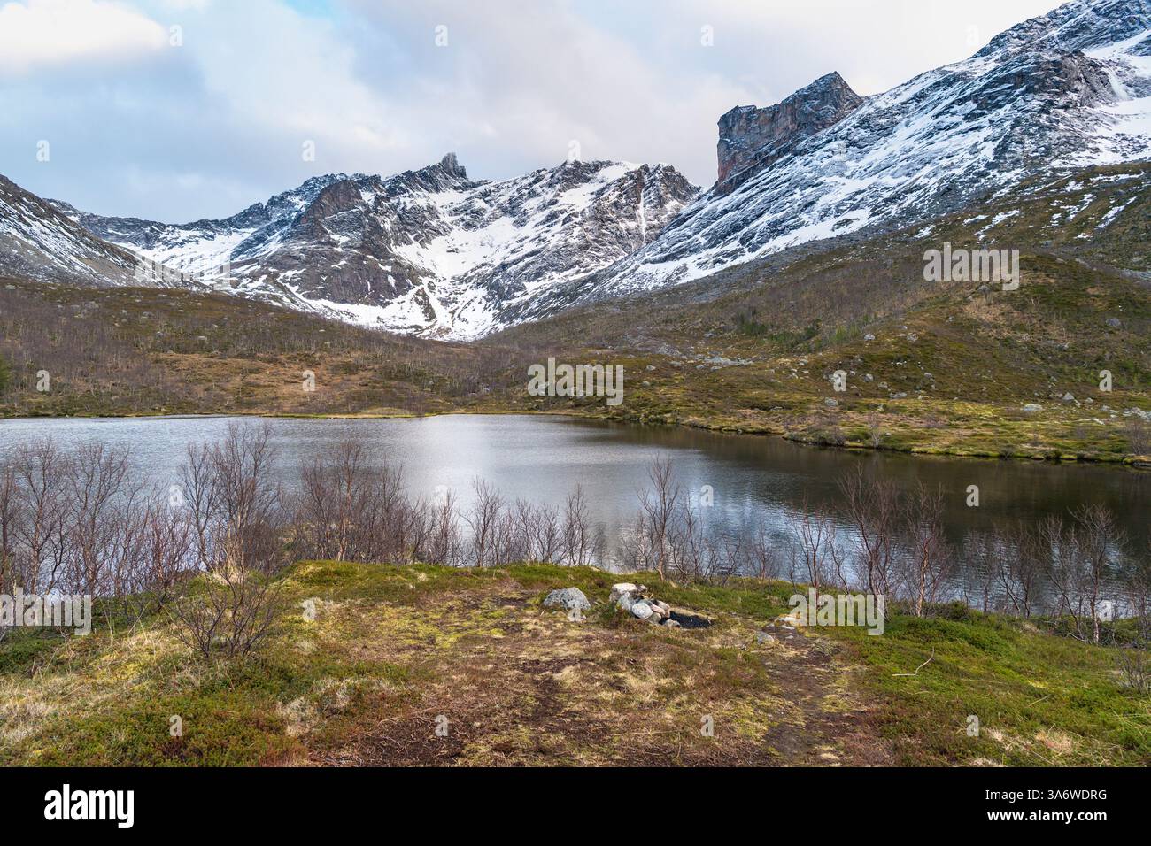 Panorama mit See und Strand des Nordatlantiks. Raue Natur auf den Inseln von Kvaløya, mit steilen felsigen Bergen. Kleine Birken und gelb Stockfoto