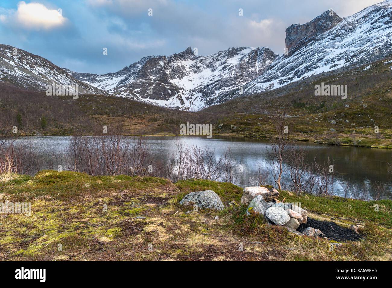 Panorama mit See und Strand des Nordatlantiks. Raue Natur auf den Inseln von Kvaløya, mit steilen felsigen Bergen. Kleine Birken und gelb Stockfoto