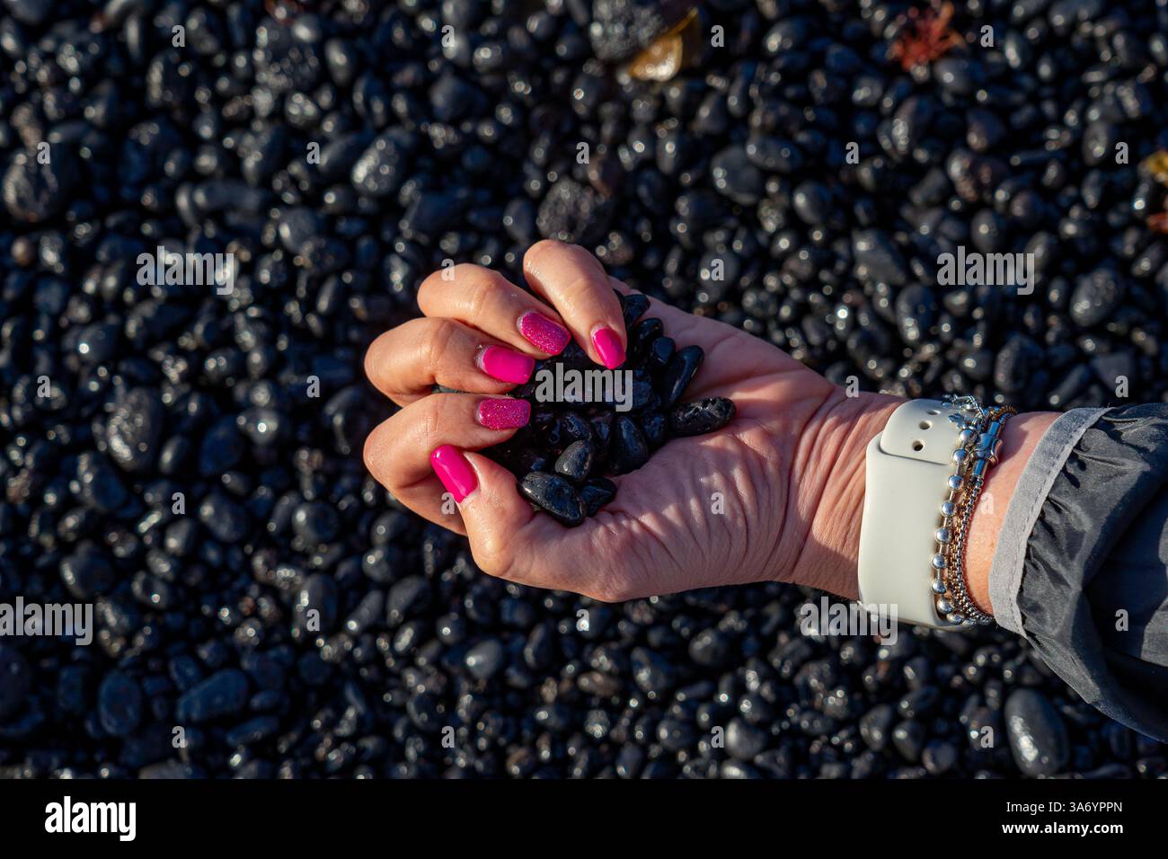 Schwarze vulkanische Steine von der Insel Lanzarote in einer Frauenhand mit rosa bemalten Nägeln auf einem verschwommenen schwarzen Hintergrund Stockfoto