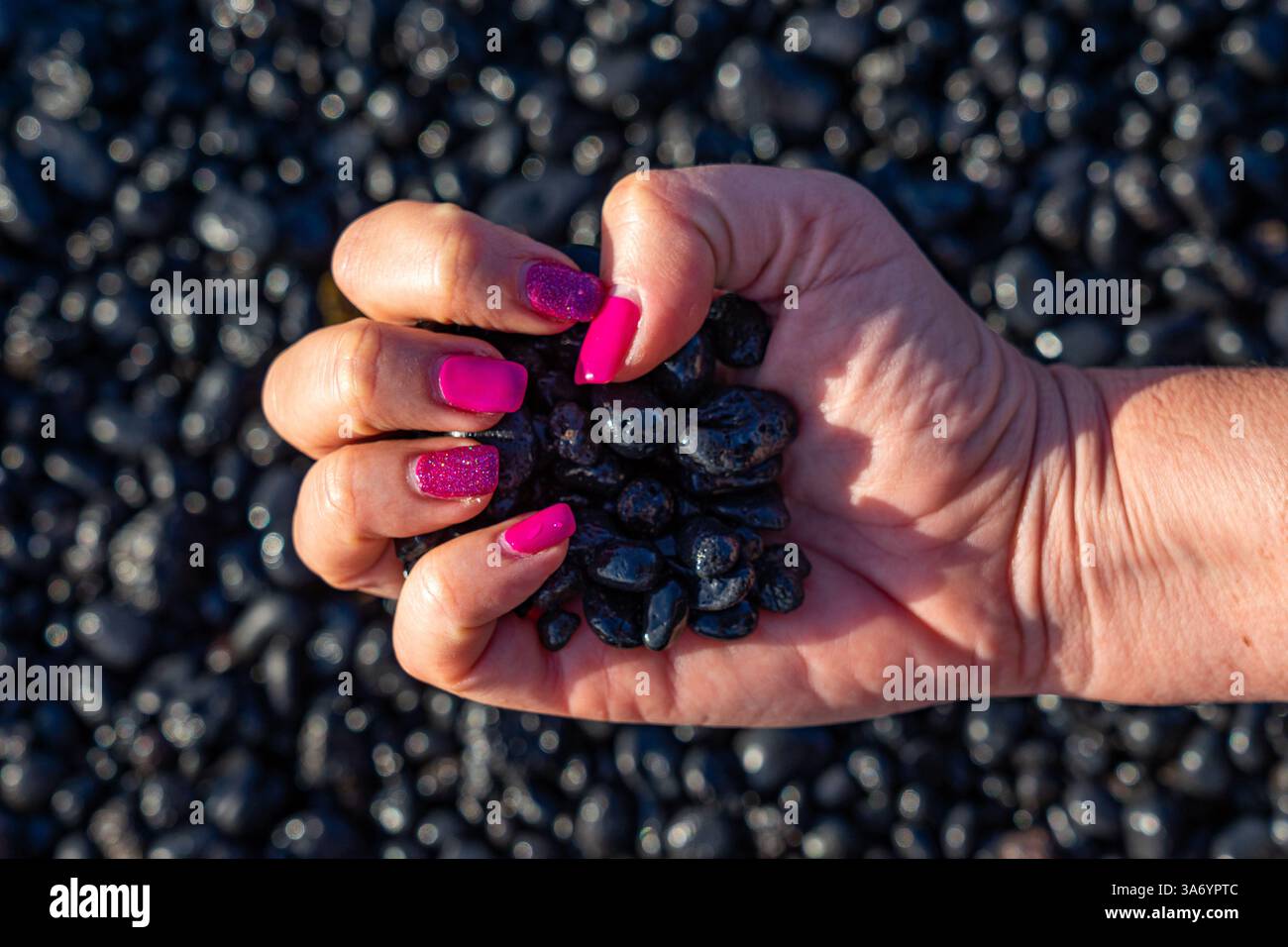 Schwarze vulkanische Steine von der Insel Lanzarote in einer Frauenhand mit rosa bemalten Nägeln auf einem verschwommenen schwarzen Hintergrund Stockfoto