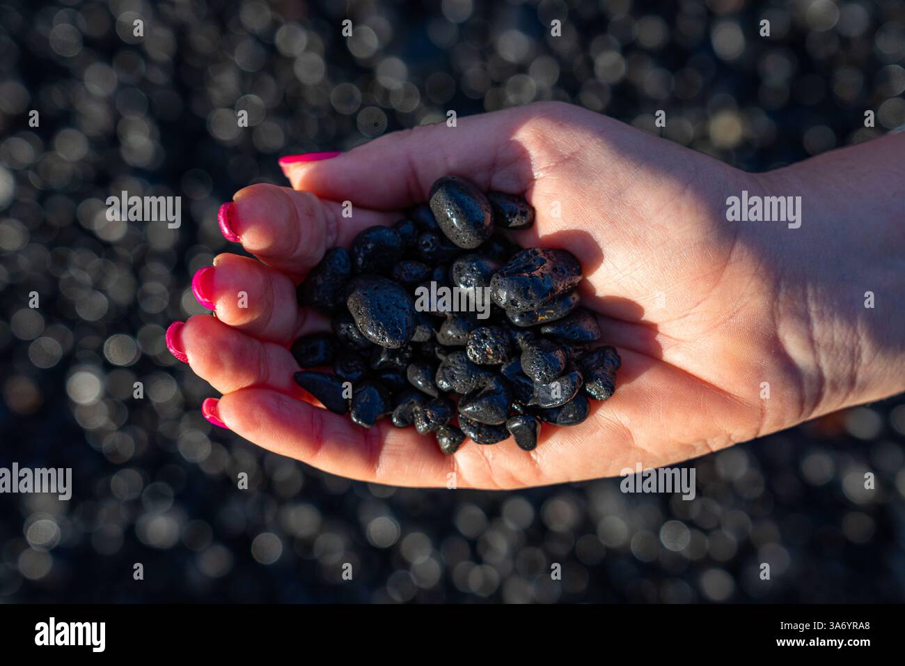 Schwarze vulkanische Steine von der Insel Lanzarote in einer Frauenhand mit rosa bemalten Nägeln auf einem verschwommenen schwarzen Hintergrund Stockfoto