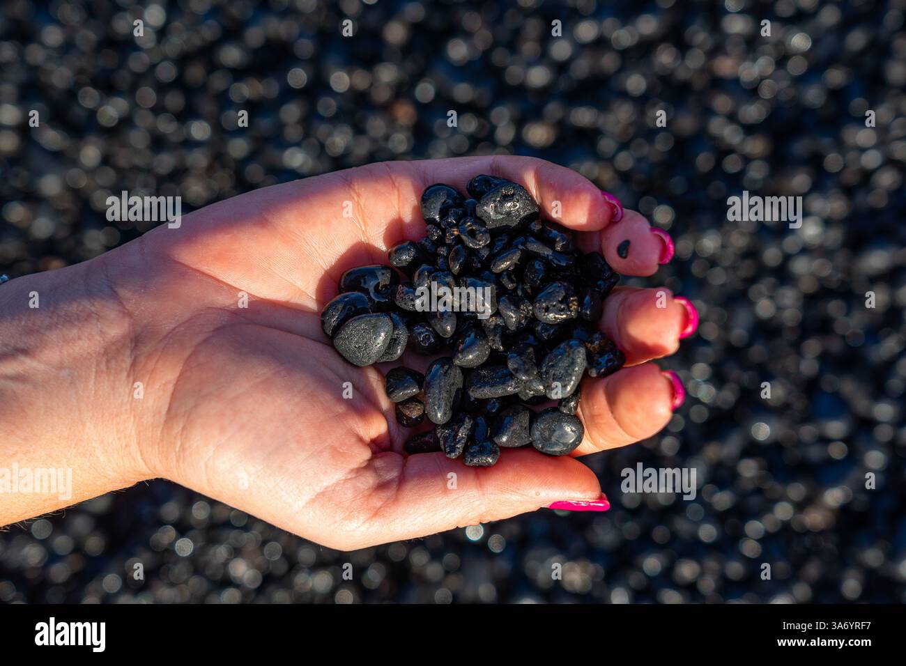 Schwarze vulkanische Steine von der Insel Lanzarote in einer Frauenhand mit rosa bemalten Nägeln auf einem verschwommenen schwarzen Hintergrund Stockfoto