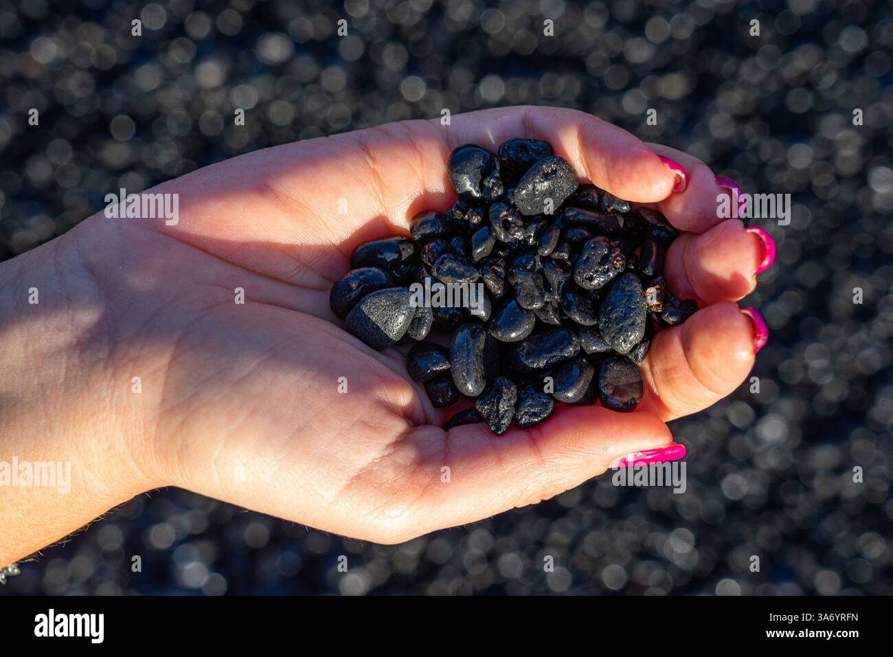 Schwarze vulkanische Steine von der Insel Lanzarote in einer Frauenhand mit rosa bemalten Nägeln auf einem verschwommenen schwarzen Hintergrund Stockfoto
