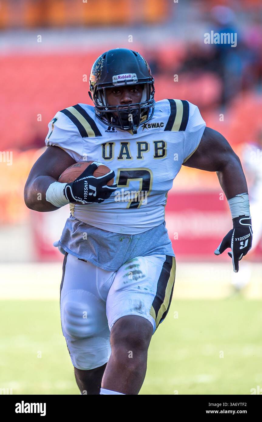 25. Oktober 2014: Houston, Texas, USA: Arkansas-Pine Bluff Golden Lions Tight End CJ Branch (7) nimmt während eines NCAA-Fußballspiels zwischen der University of Arkansas at Pine Bluff Golden Lions und den Texas Southern Tigers im BBVA Compass Stadium, Houston, Texas, Tx, positive Ergebnisse auf. Arkansas-Pine Bluff Beat TSU 38-37(Bild: © Rudy Hardy/Cal Sport Media/ZUMAPRESS.com) Stockfoto