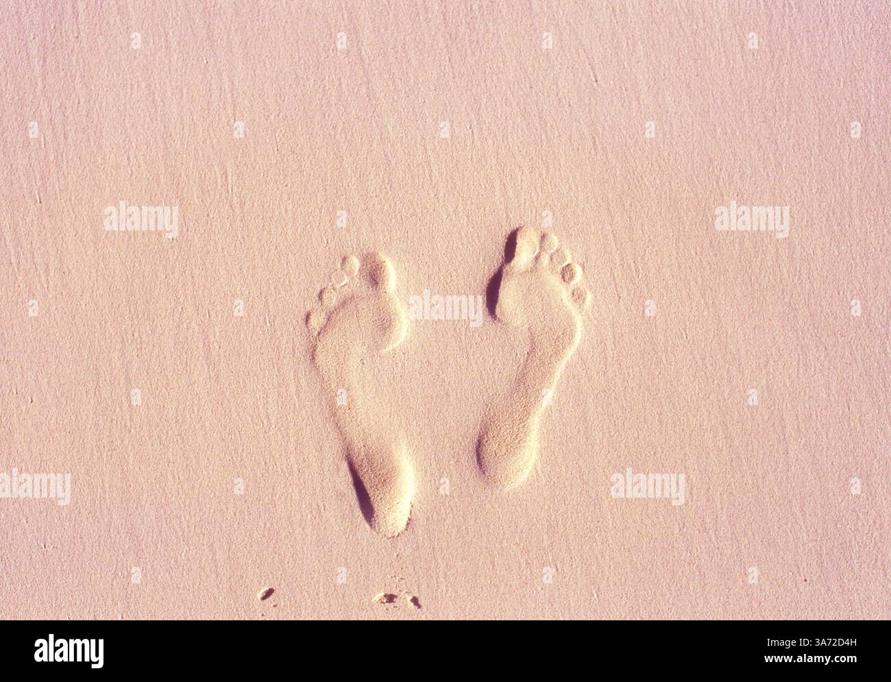 Blick von oben auf die Bodenabdrücke im Sand Stockfoto