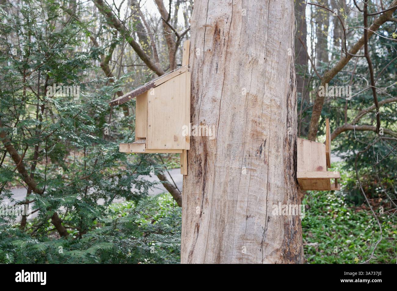 Zwei Futterhäuschen hängen an einem Baum im Potzleinsdorfer Schlosspark in Wien. Stockfoto